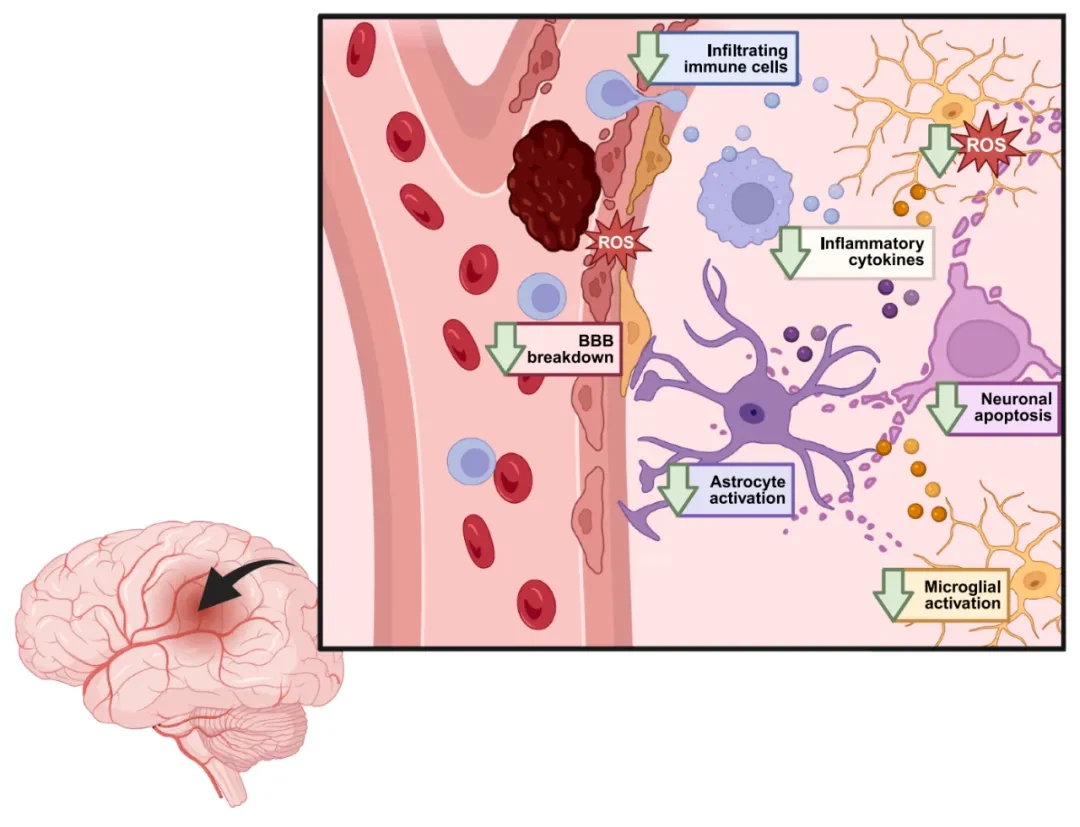 info-1080-827 info-1080-827